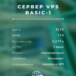 VPS Basic-1