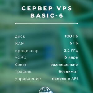 VPS Basic-6